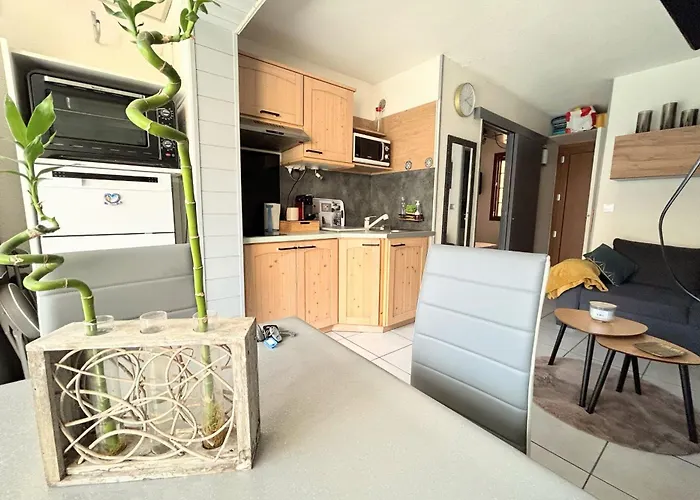 Eureka 109 - 6 People - Pool And Garden - Near Naturist Village And Beaches דירה *